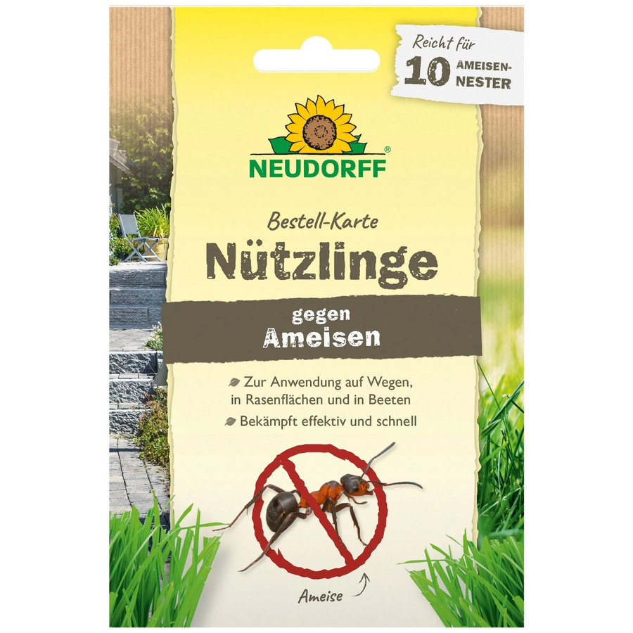 Neudorff SF-Nematoden zur biologischen Bekämpfung von Ameisen für 10 Ameisennester - Bild 2