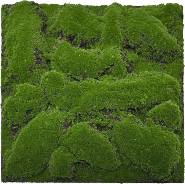 Jangal Wandpaneel Modular Wall Moos in Forest Green, B/T: 52 x 52 cm - Bild 1