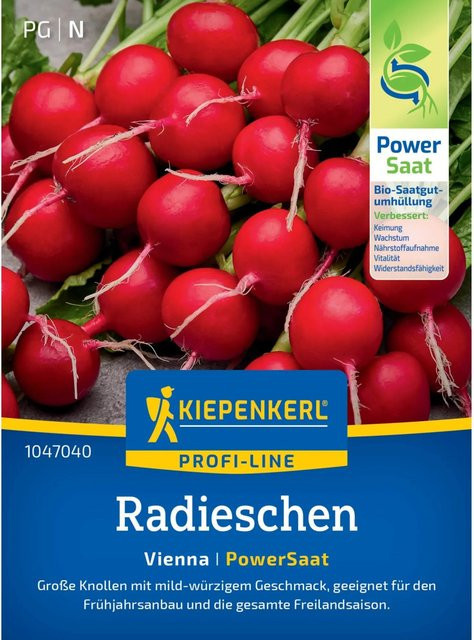Kiepenkerl Radieschen Vienna Raphanus sativus Gemüsesamen für Gewächshaus, Frühbeet und Freiland - Bild 1