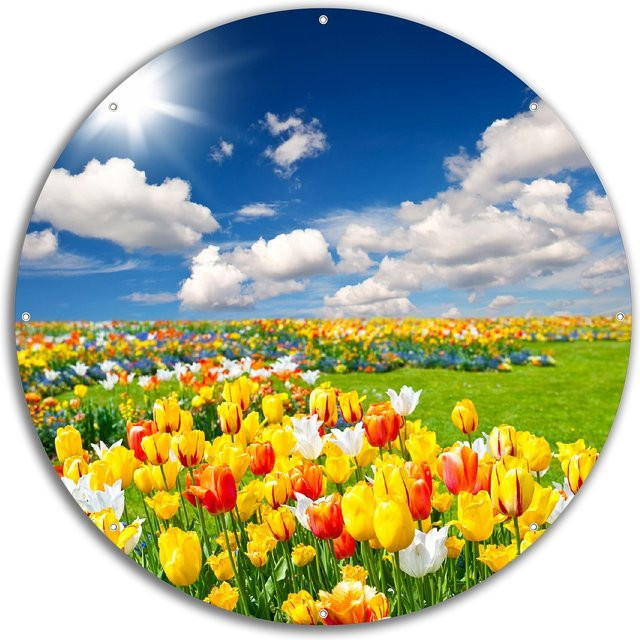 Wallario Gartenposter Tulpenwiese unter blauem Himmel, Mehrfarbig, Breite: 60 cm, Höhe: 90 cm - Bild 1