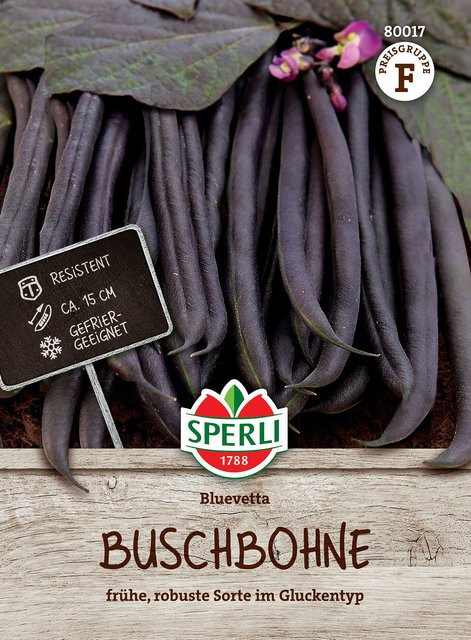 SPERLI Buschbohnen-Samen Bluevetta, weiß - Bild 1
