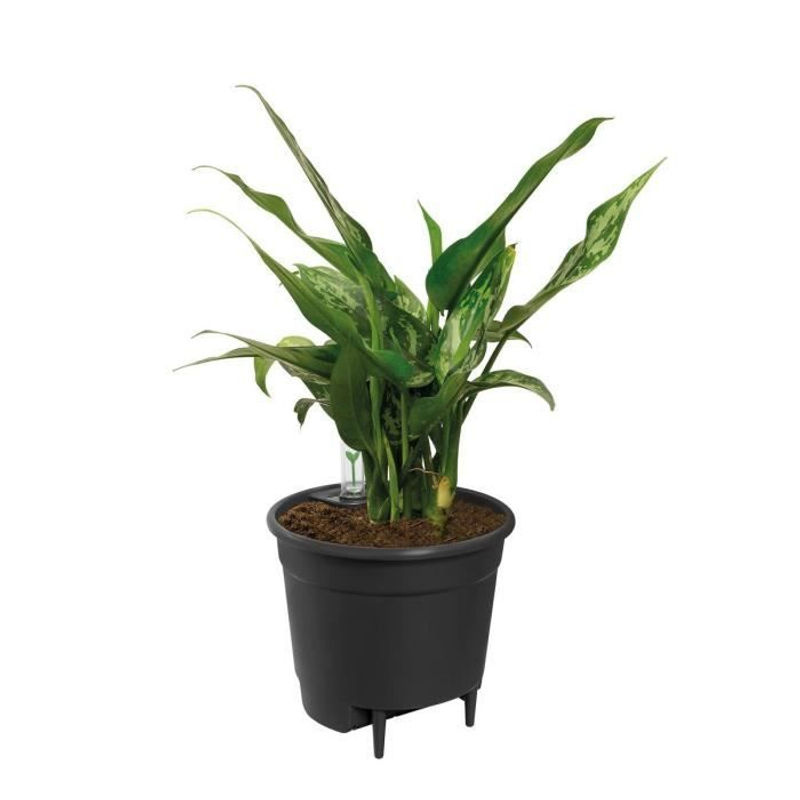 Elho Selbstbewässerungs-Einsatz für Blumentopf 28 living Schwarz B: 27,7 cm, H: 25,5 cm - Bild 2