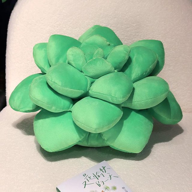 Yiran toy Sukkulenten-Plüschkissen, Plüschtier, 35cm - Bild 1