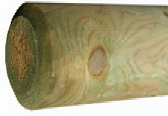 Holzpalisaden zylindrisch gefräst Durchmesser: 12 cm, Länge: 125 cm - Bild 1