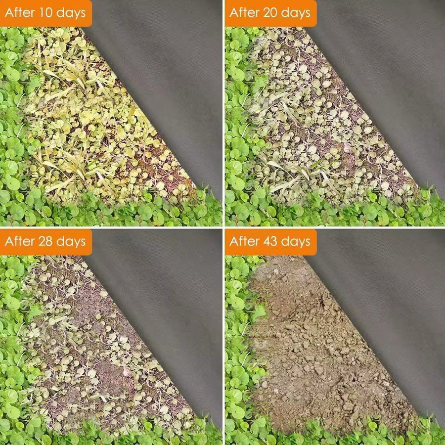 Schwarze Unkrautvlies Matte aus Polypropylen als Heavy Duty Gartenabdeckung für Blumen, Gemüse und Hochbeete - Bild 5