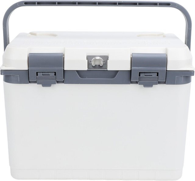 Aimo Isolierte Kühlbox 15L Tragbarer Autokühlschrank für Camping und Picknick in Grau - Bild 1