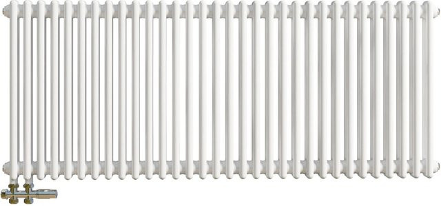 Duschparadies Traditioneller Heizkörper in Gusseisen-Optik mit 2 Säulen, Weiß, B/H: 60 cm x 146 cm - Bild 1