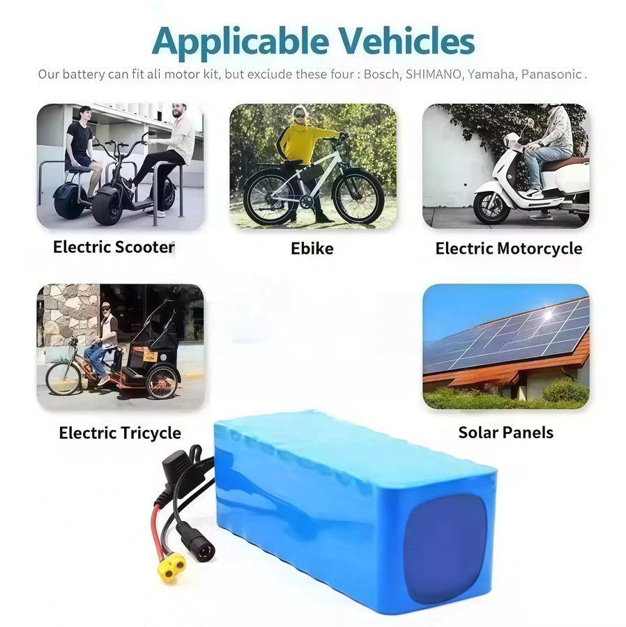 Lithium-Ionen-Akkupack 48V 100Ah 2000W 13S3P mit BMS für 48V-Motoren in Blau - Bild 4