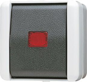 Jung Wipp-Kontrollschalter Universal Aus-Wechsel 806KOW IP44 Grau - Bild 1