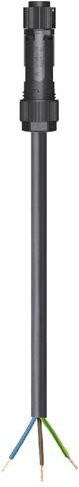 Wieland Electric Anschlussleitung Schwarz 46.433.4033.1 - Bild 1