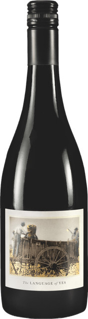 The Language of Yes Syrah 2022 Rotwein, USA, 0,75 l - Bild 1