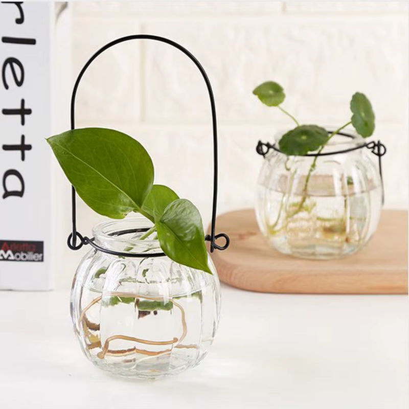 Kesoto Hängevase in Kürbisform aus Glas, transparent, bauchig für Blumen und Pflanzen - Bild 3