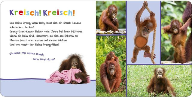 Hör mal rein, wer kann das sein? - Tierbabys, arsEdition, Hardcover - Bild 1