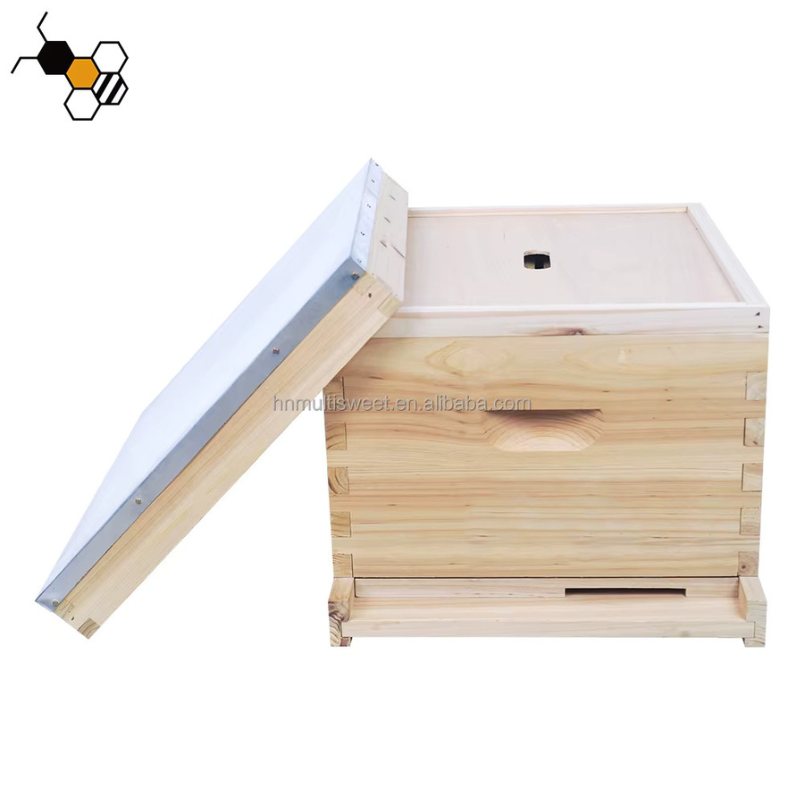 XMSJ Langstroth Bienenstock aus Holz mit 8 und 10 Rahmen in Braun - Bild 2