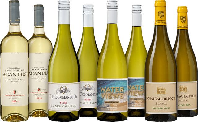 dieweinboerse.de Sauvignon Blanc Weißwein, fruchtig, 0,75 l - Bild 1