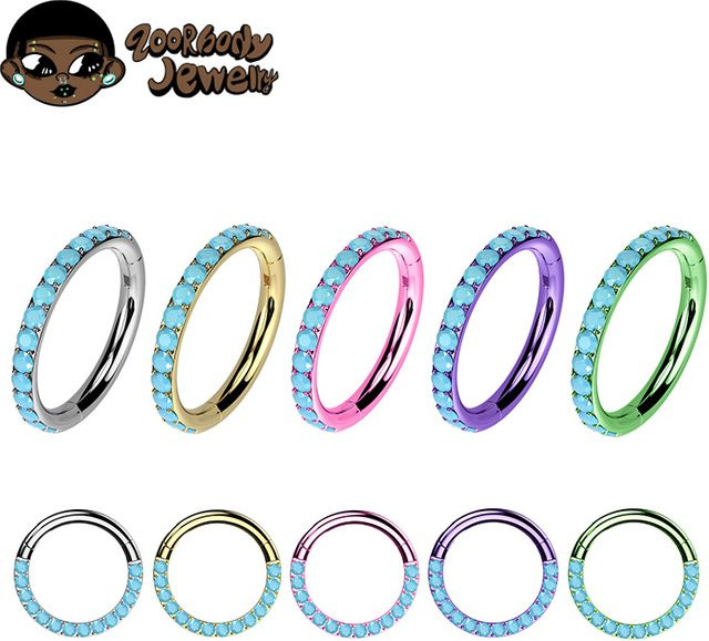 ZOORBODY JEWELRY Scharniersegment Ring, Titan, Türkis, Unisex - Bild 1
