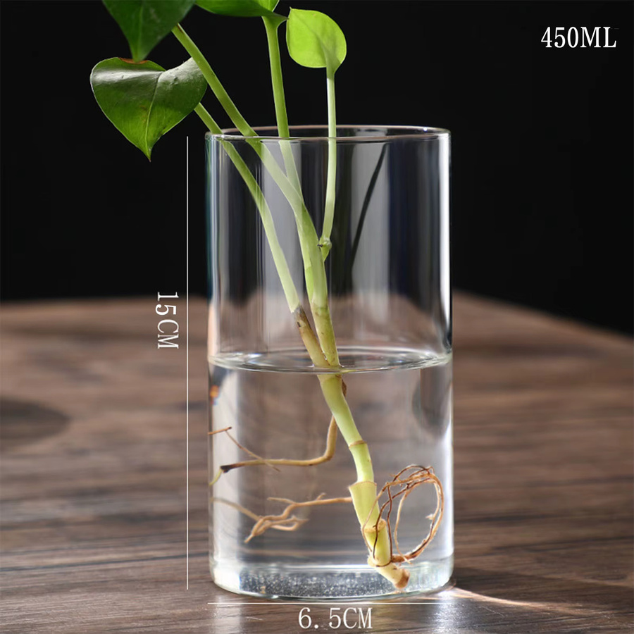 Simplism Hydrokultur-Vase aus Glas, moderne Zylinder-Blumenvase in Transparent für Hochzeitsdekoration und Tischdekoration - Bild 2