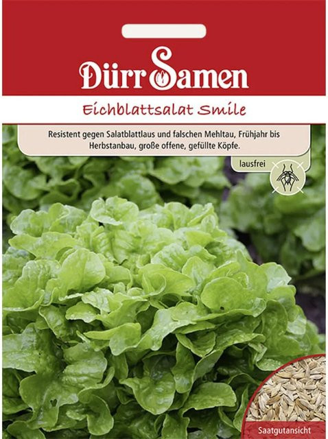 Dürr Eichblattsalat Smile Saatgut für Frühling und Sommer, 150 g - Bild 1