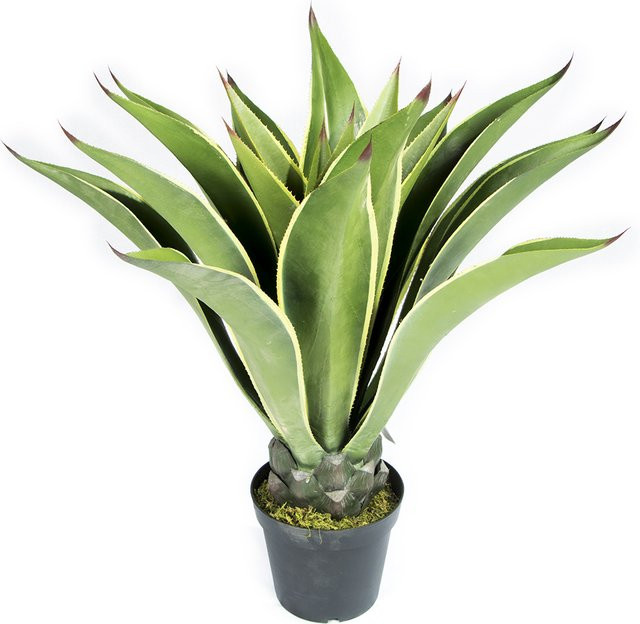 Intergard Kunstpflanze Agave in Grün aus Seide, Höhe: 96 cm - Bild 1