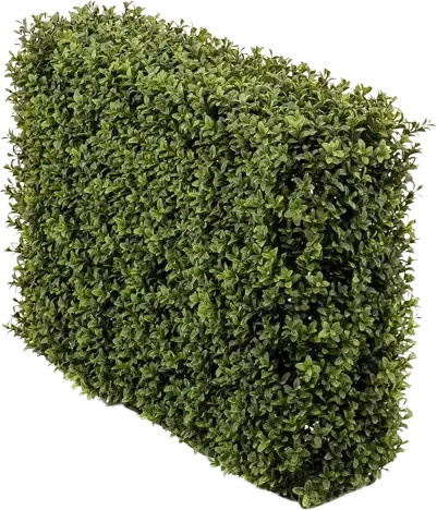 Künstliche Buchsbaumhecke Jannis von Aplanta, Grün, B/H: 70 x 70 cm - Bild 1