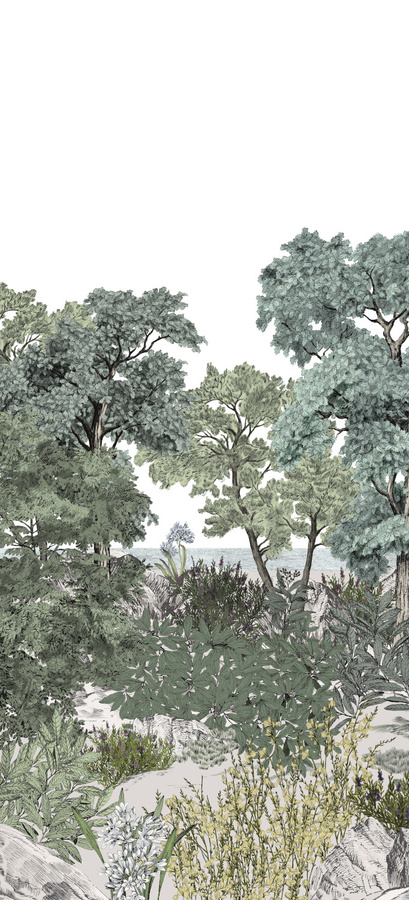 Isidore Leroy Fototapete Foret de Bretagne Naturel in Grün mit Landschaftsmotiv - Bild 1