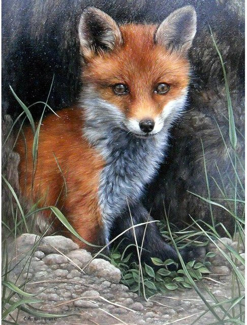 5D-Diamantgemälde FIYO zum Selbermachen mit Motiv kleiner Fuchs im Wald, bunte Diamant-Stickerei mit runden Steinen, Breite: 20 cm, Höhe: 30 cm - Bild 1