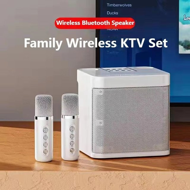 AyeBeau Kabelloser Karaoke-Lautsprecher mit Mikrofon, Tragbare Bluetooth-Soundbox in Schwarz - Bild 1