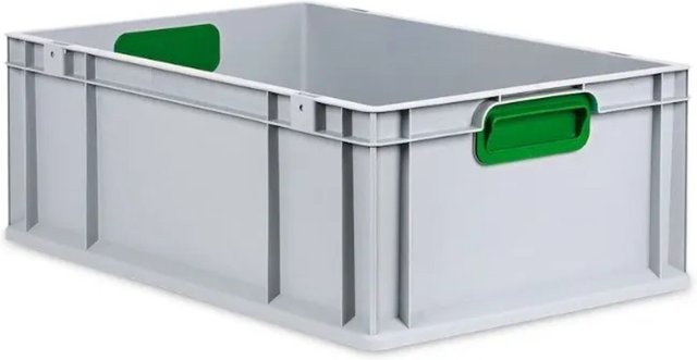 PROREGAL Eurobox Nextgen Color Transportbox mit verstärktem Boden und Griffen, Grün, H x B x T: 22 x 40 x 60 cm, 44 Liter - Bild 1