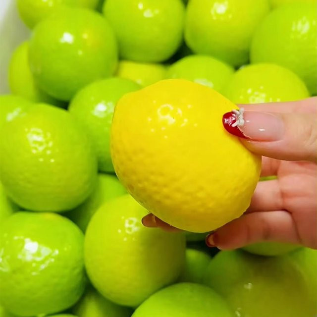 BC Pet Supplies Zitronen-Stressball und Mango-Squishy, ASMR Sensorisches Spielzeug - Bild 1