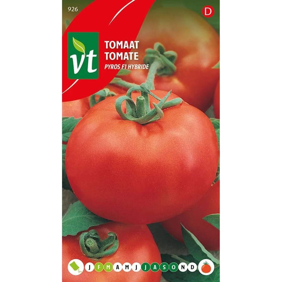 Arborix Tomate Pyros F1 Saatgut für Garten und Gewächshaus, 0,3 g - Bild 2