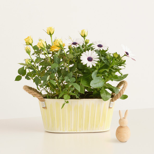 BLUME2000 Frühlingsgarten mit Holzhase und Pflanztopf für Balkon und Terrasse, Mehrfarbig - Bild 1