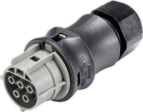 Wieland Electric 96.051.4154.3 Steckverbinder - Bild 1