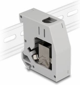 Delock Hutschienenadapter Keystone CAT 6a Ethernet LAN in Grau - Bild 1