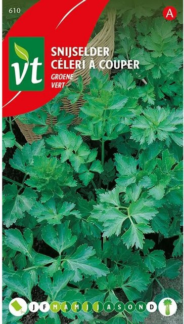 Arborix Knollensellerie Celeriac Green Samen 3 g kalorienarmes Gemüse - Bild 1