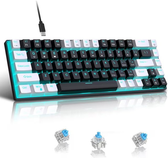 HXSJ Mechanische Tastatur mit 68 Tasten und Hintergrundbeleuchtung in Schwarz-Weiß mit abnehmbarem USB-C-Kabel - Bild 1