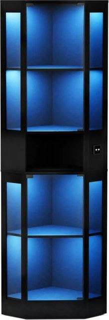PXloue Glasvitrine Schwarz mit LED-Beleuchtung und Sicherheitsglas, B/T/H: 57 x 40 x 165 cm - Bild 1