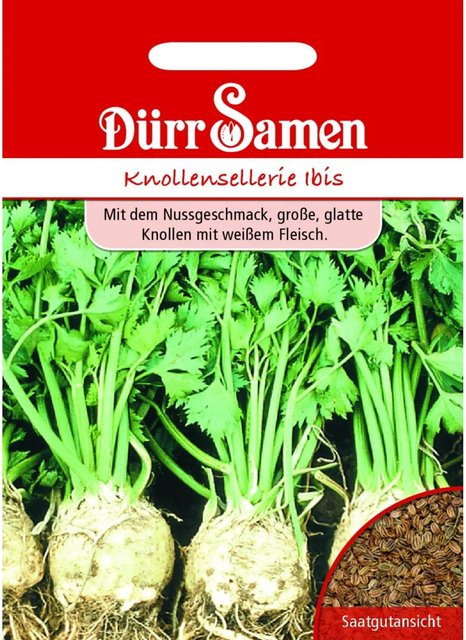 Dürr Knollensellerie Ibis Saatgut 155 g - Bild 1