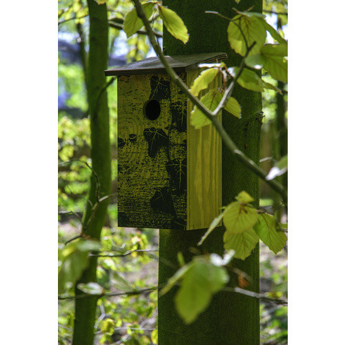 DOBAR Nistkasten in Rindenoptik aus Fagus sylvatica, braun - Bild 3