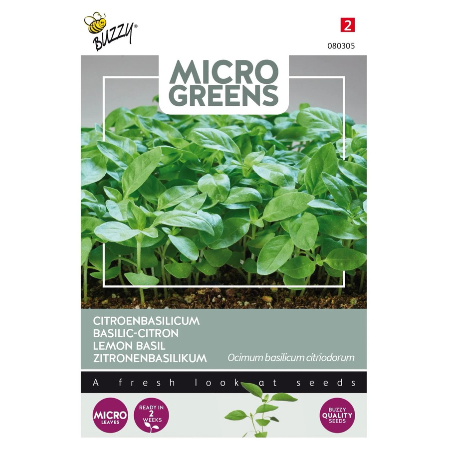 Buzzy Microgreens Zitronenbasilikum Saatgut mit frischem Zitrusgeschmack, 1 g - Bild 2