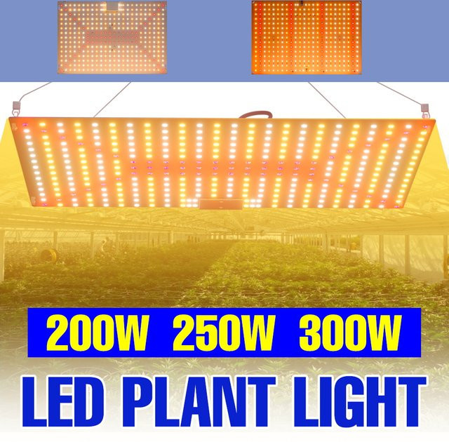 CanLing 300W LED Vollspektrum-Wachstumslampe Quantum Board Pflanzenbeleuchtung für Gewächshaus und Hydroponik - Bild 1