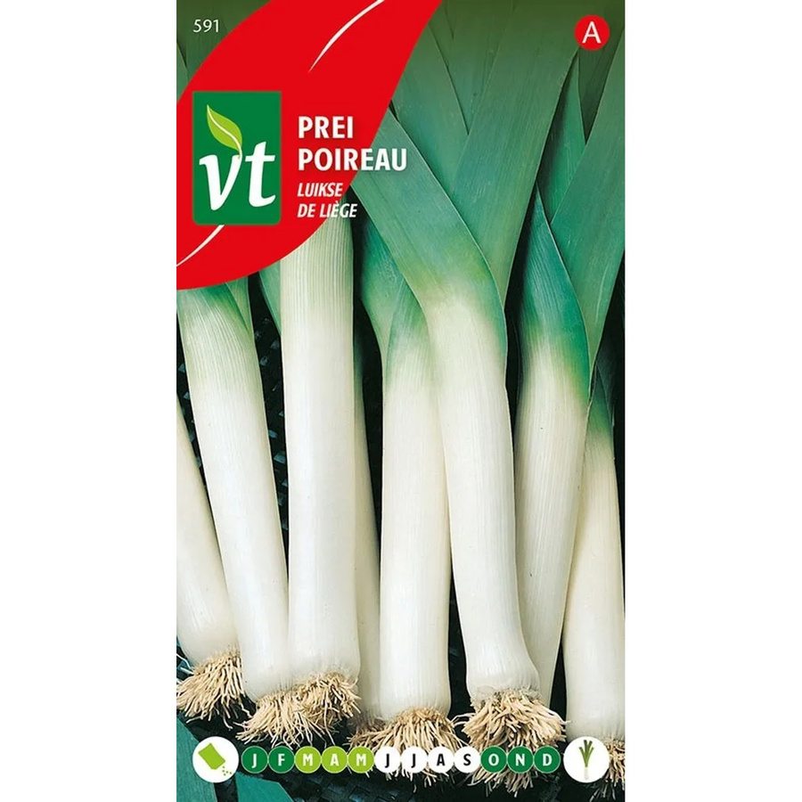 Arborix Lauch Lüttich Winter Samen für winterhartes Gemüse, 5 g - Bild 2