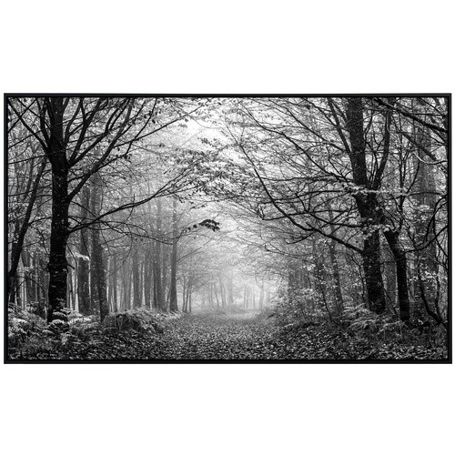 papermoon EcoHeat Infrarotheizung in Wald Schwarz und Weiss mit Matt-Effekt, App-Steuerung und Überhitzungsschutz - Bild 2