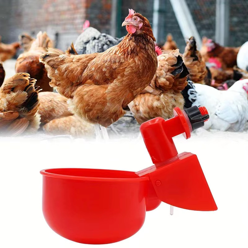 ZHUOJI Automatischer Hühnertrinknapf in Rot für Geflügel, Wachteln, Enten und Tauben - Bild 3