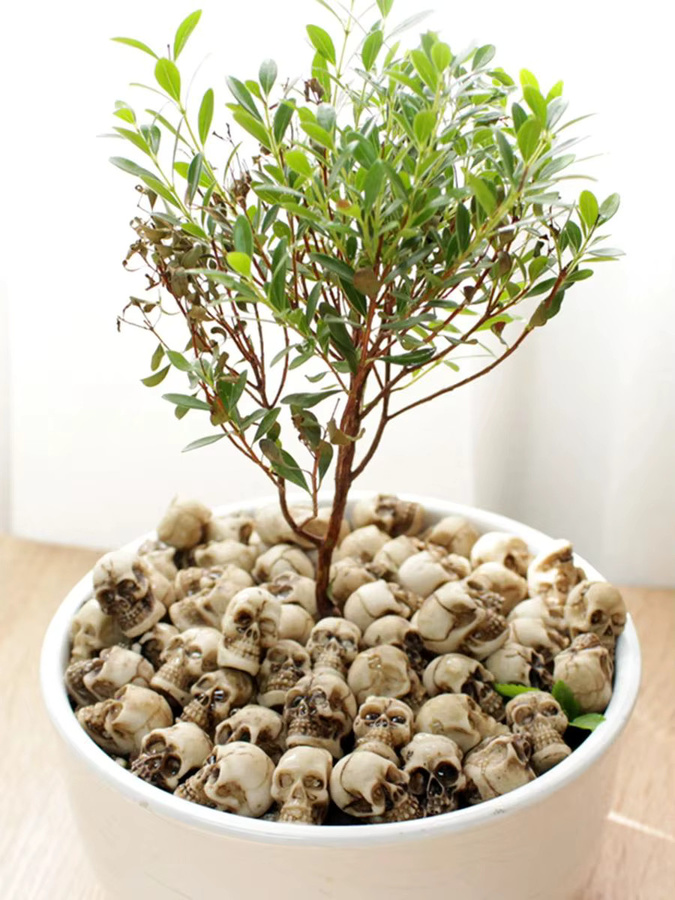 20 Stück Mini-Schädel als dekorative Blumentöpfe in Weiß für Halloween und Gartendekoration - Bild 5