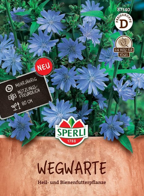 Sperli Wegwarten-Samen in Blau - Bild 1