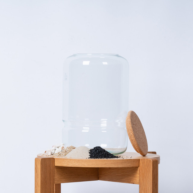 Modernes Deko-Glas mit Deckel von BLUME2000, transparent, Höhe: 19,0 cm, Breite: 19,0 cm, Tiefe: 28,0 cm - Bild 1