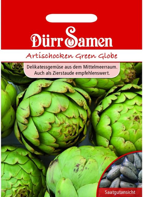 Dürr Artischocken Green Globe Saatgut für Gemüse und Zierstauden - Bild 1