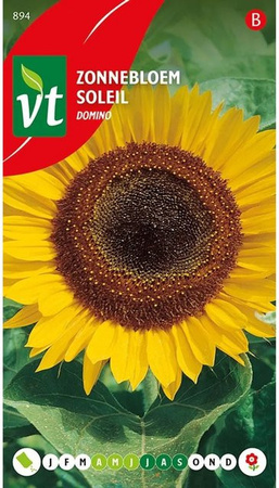 Arborix Sonnenblume Domino Samen für große Blütenköpfe, 1 g
