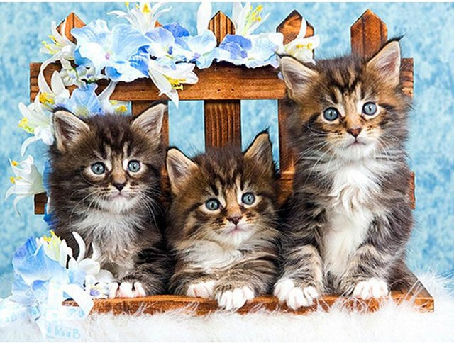 FIYO Diamantmalerei Katze mit runden Steinen in Schwarz und Multicolour, Breite: 20 cm, Höhe: 30 cm - Bild 1