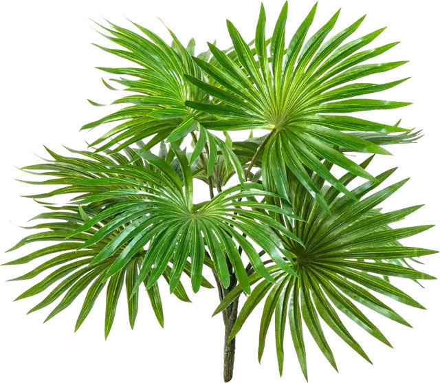 Künstlicher Palmenbusch Carina von Aplanta, grün, Höhe: 35 cm - Bild 1